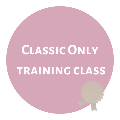 Classic Only Eyelash Training (1 Day: 9am-5pm) Kit Included