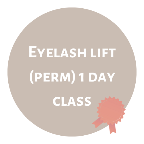 Eyelash Lift (Perm) 1 Day Class- Kit Included